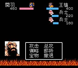 王植战